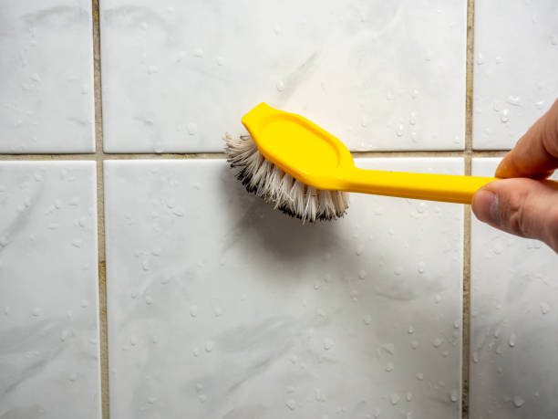 Office Mold Removal Services in Ephrata, WA