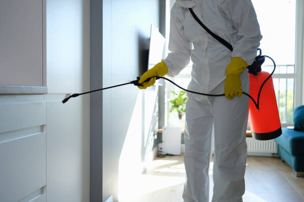 Best Mold Cleaning Services  in Ephrata, WA