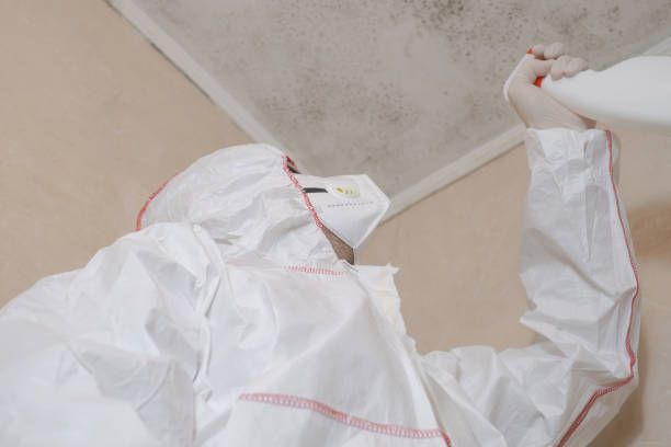 Best Black Mold Removal  in Ephrata, WA