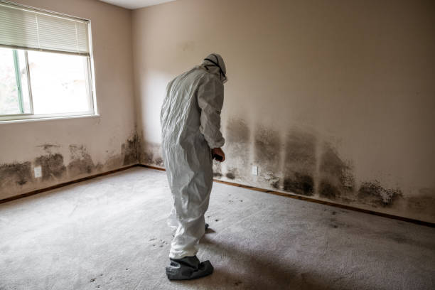 Best Office Mold Removal Services  in Ephrata, WA