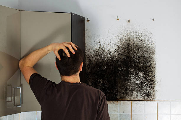 Best Water Damage Restoration  in Ephrata, WA