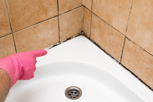 Best Mold Removal Near Me  in Ephrata, WA